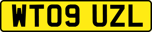 WT09UZL