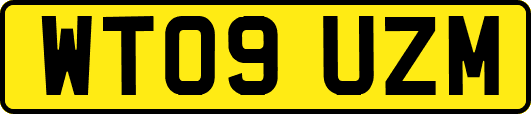 WT09UZM