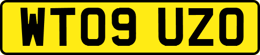 WT09UZO