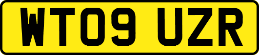 WT09UZR