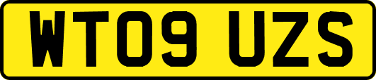 WT09UZS