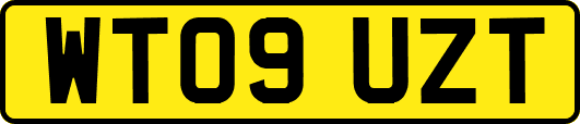 WT09UZT