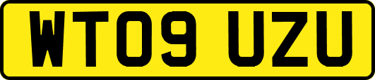 WT09UZU