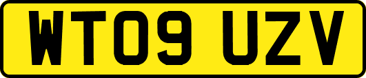 WT09UZV