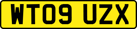 WT09UZX