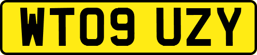 WT09UZY