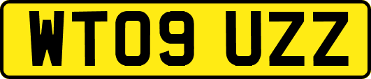 WT09UZZ