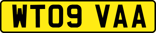 WT09VAA
