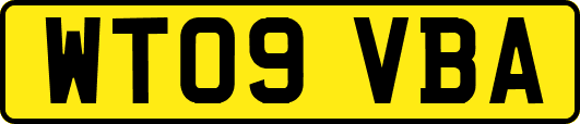 WT09VBA