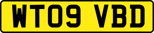 WT09VBD