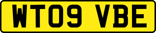 WT09VBE