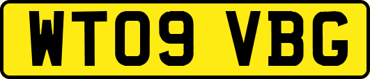 WT09VBG
