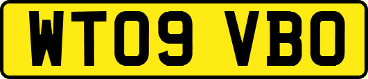 WT09VBO