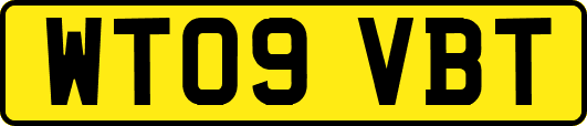WT09VBT