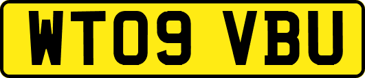 WT09VBU