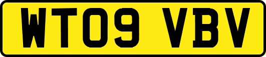 WT09VBV