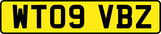 WT09VBZ