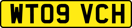 WT09VCH