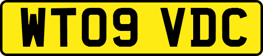 WT09VDC