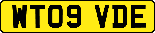 WT09VDE