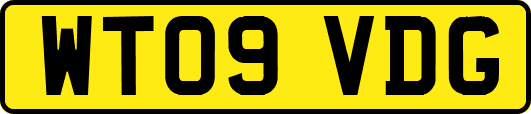 WT09VDG