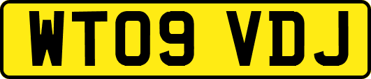 WT09VDJ