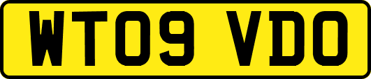 WT09VDO
