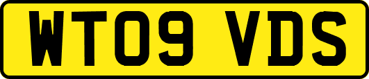 WT09VDS