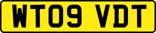 WT09VDT