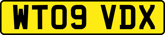 WT09VDX