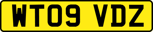 WT09VDZ