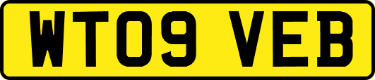 WT09VEB