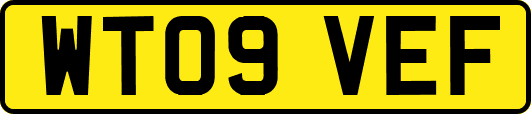 WT09VEF