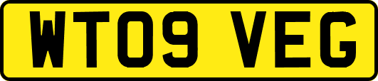 WT09VEG