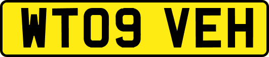 WT09VEH