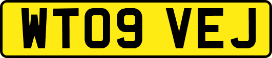 WT09VEJ