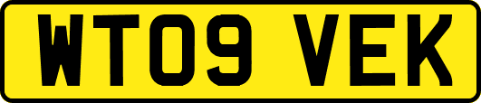 WT09VEK
