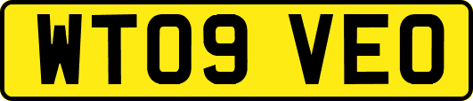 WT09VEO