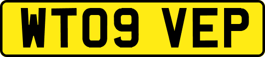 WT09VEP