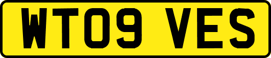 WT09VES