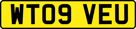 WT09VEU