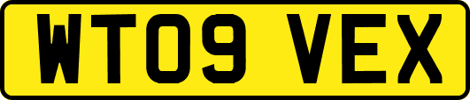 WT09VEX