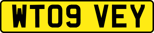 WT09VEY