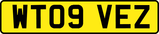 WT09VEZ