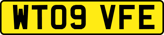 WT09VFE