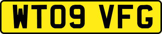 WT09VFG