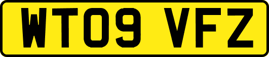 WT09VFZ