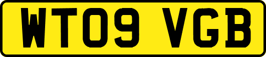 WT09VGB