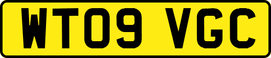 WT09VGC