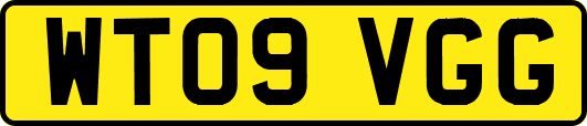 WT09VGG